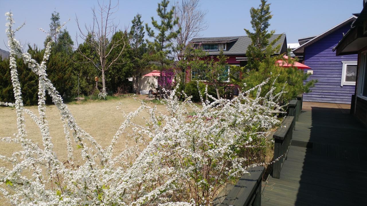 Windflower Villa Gyeongju Esterno foto